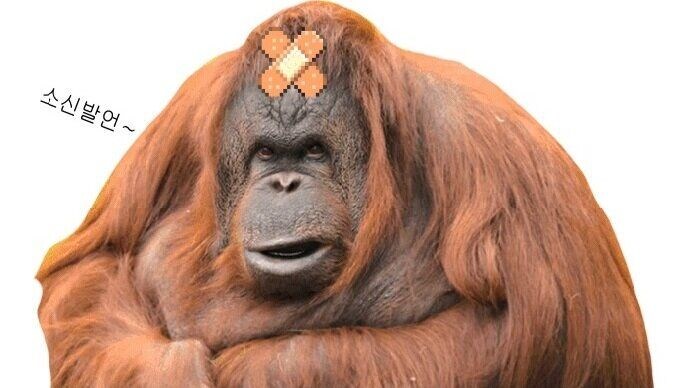 정말로 말도 안 되는 억지 처녀 설정 만화_7.png