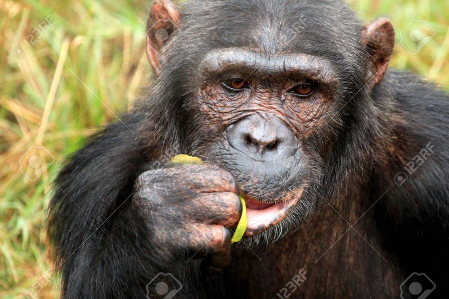 정말로 말도 안 되는 억지 처녀 설정 만화_8.jpg