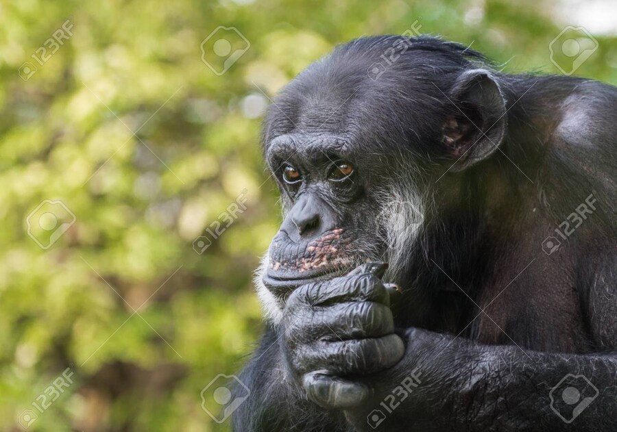 정말로 말도 안 되는 억지 처녀 설정 만화_9.jpg