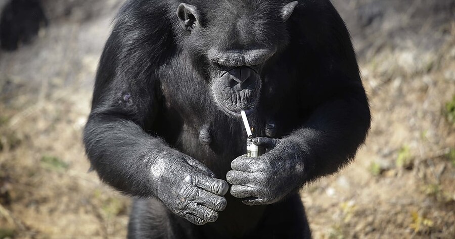 절친 생일선물을 챙겨주는.manhwa_6.jpg