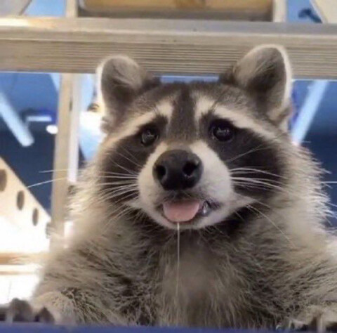 술에 취한 여성을 바닷가에서 만나는.manhwa_16.jpg