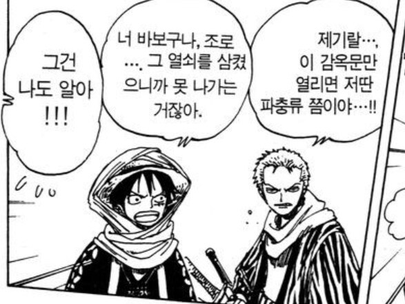 원피스) 루피가 자신과 동급으로 인정한 남자_4.jpg