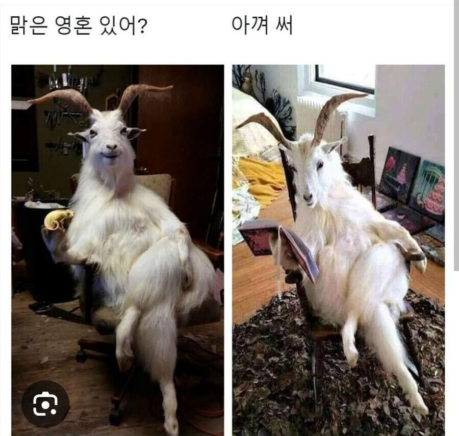 맑은 영혼 있어? 아껴써!! .manwha_6.jpg