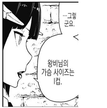의외로 공주 고문 만화에서 완결까지 풀리지 않은 떡밥.jpg_1.jpg