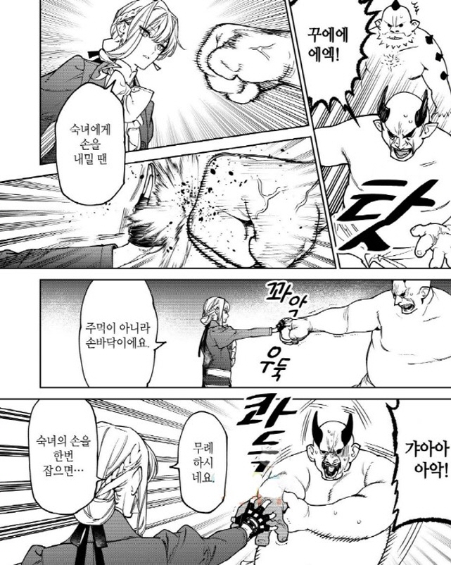 전장에서 우아하게 춤을 추는 방법을 알려주는 폭력 영애_1.jpg