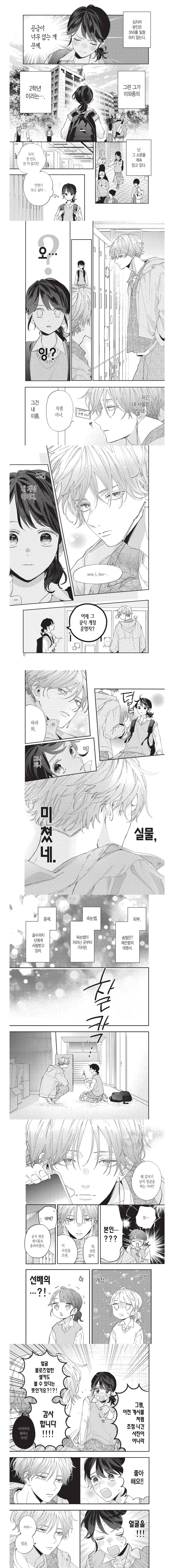 얼굴 밣히는 얼빠 여학생이 꽂미남 남학생과 만나는 만화_2.jpg