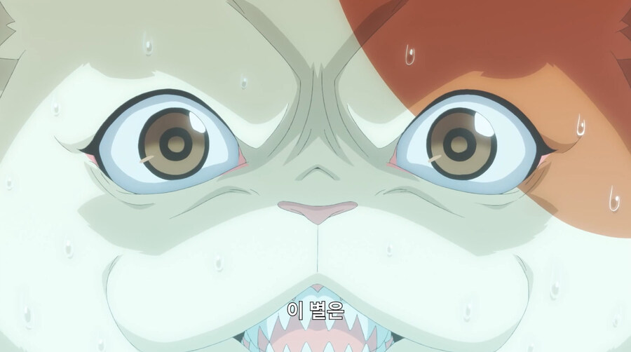 외계인들이 지구를 고양이의 별로 착각하는 만화_38.jpg