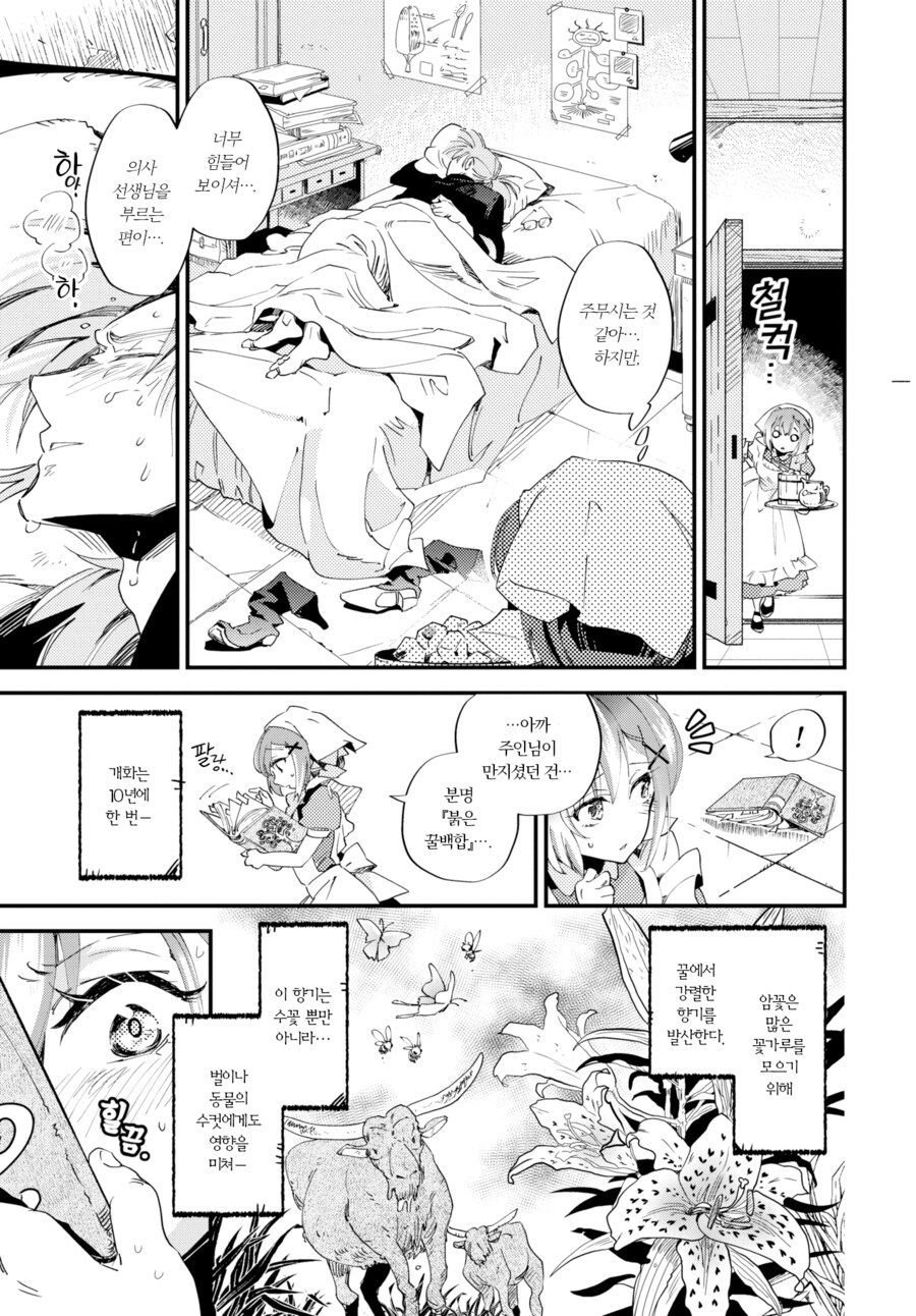 식물박사와 메이드의 꽃과 꿀.manhwa_5.png