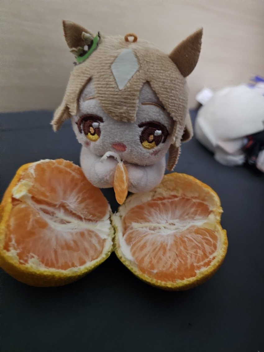 [말딸] 이젠 귤도 코큐트의 시대에용_2.jpg