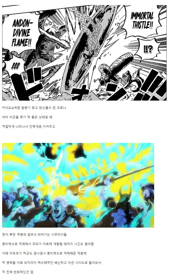 원피스) 오니가시마 결전에서 지휘력 오졌던 마르코_4.jpg