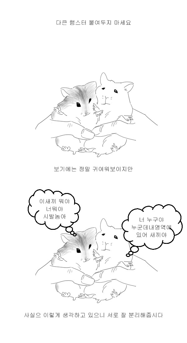햄스터들을 붙여두지 마세요.manwha_1.png