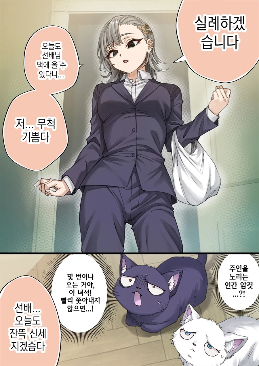 표정 안좋은 회사 후배가 집에서 키우는 고양이 보러 오는 만화.manga_11.png