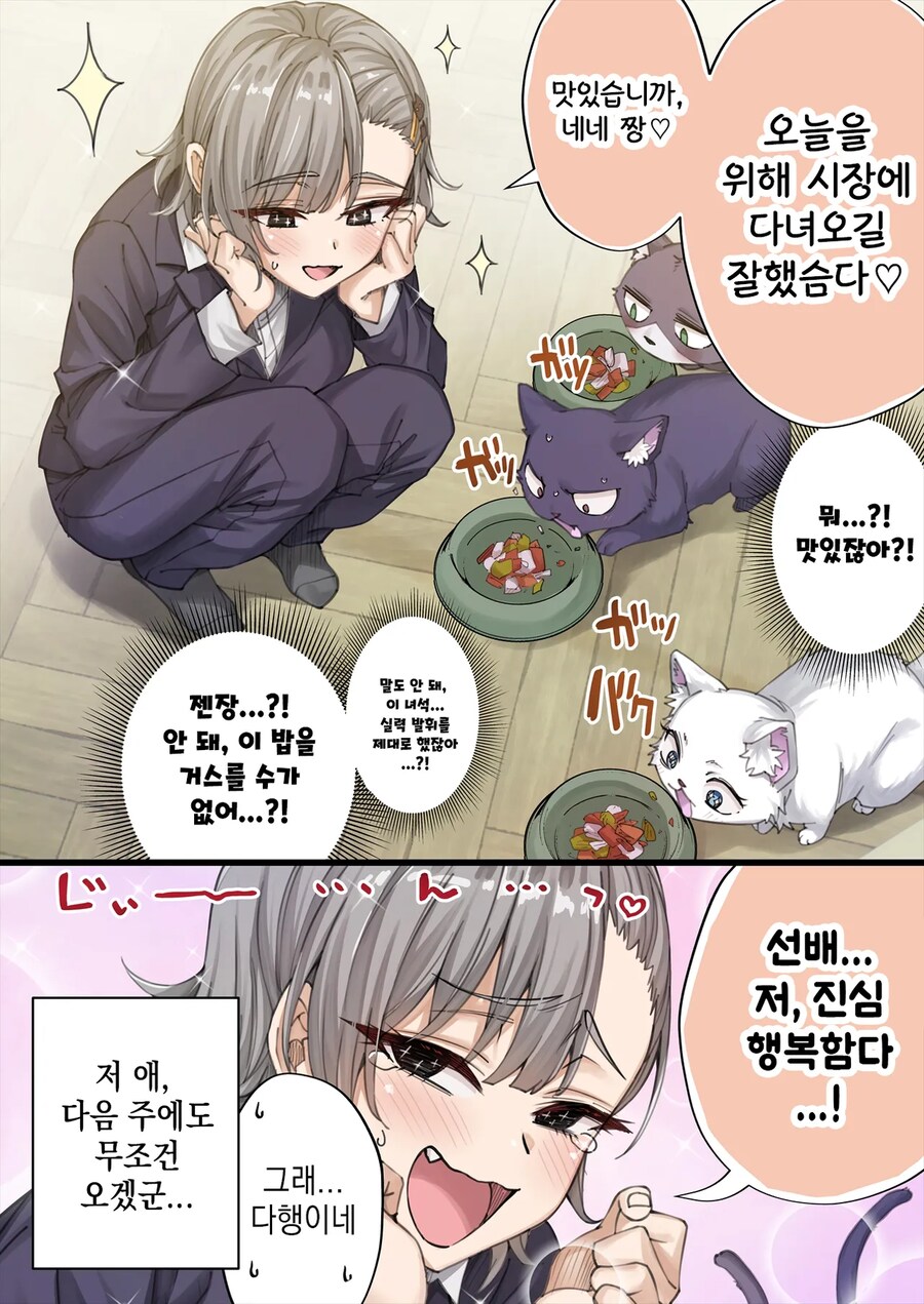 표정 안좋은 회사 후배가 집에서 키우는 고양이 보러 오는 만화.manga_12.png