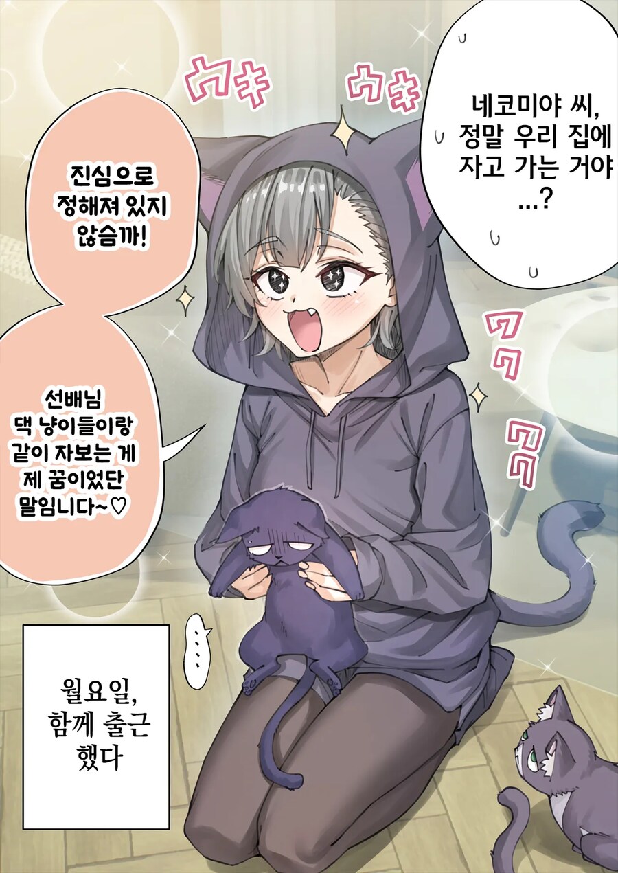 표정 안좋은 회사 후배가 집에서 키우는 고양이 보러 오는 만화.manga_18.png