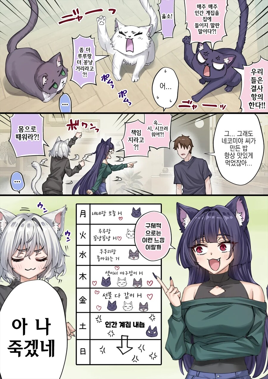 표정 안좋은 회사 후배가 집에서 키우는 고양이 보러 오는 만화.manga_22.png