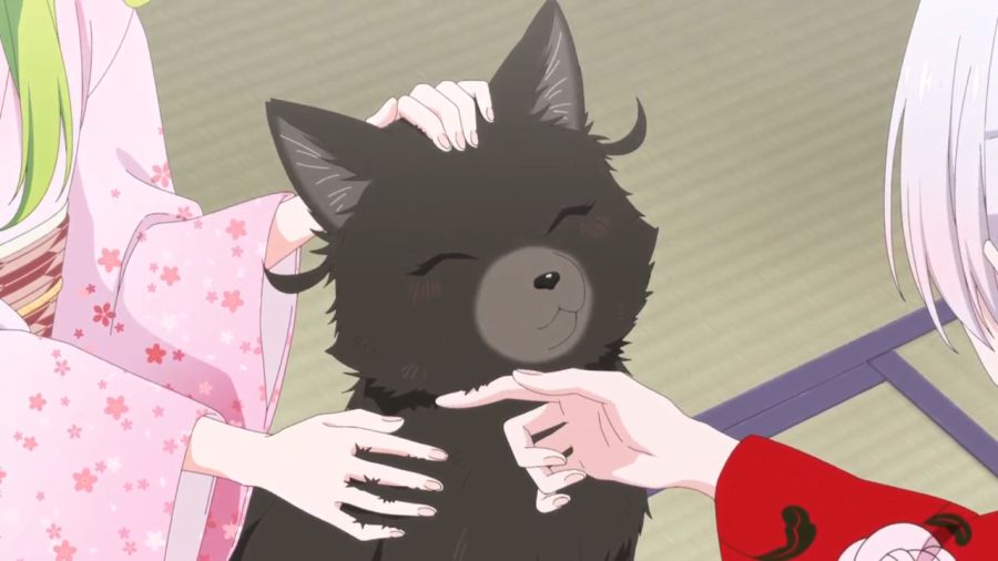 폭력 영애의 애완동물_4.png