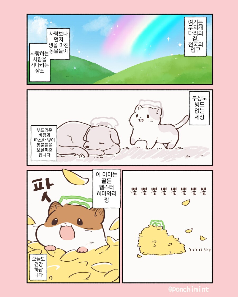 햄스터의 천국면접, 먹을 수 있는 추억의 꽃잎.manhwa_1.png