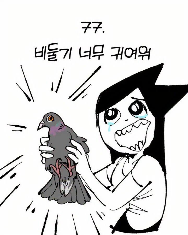 비둘기가 너무 귀여운 만화_1.jpg
