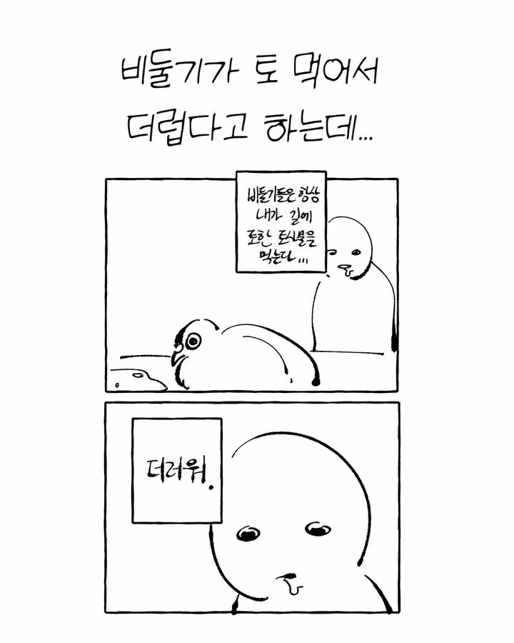 비둘기가 너무 귀여운 만화_8.jpg