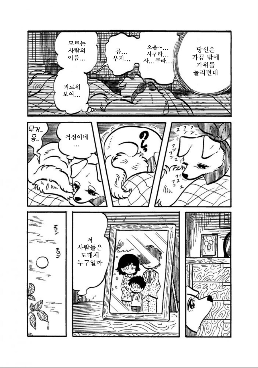 많이 수상해보이지만 수상하지 않은 강아지 만화_8.jpg