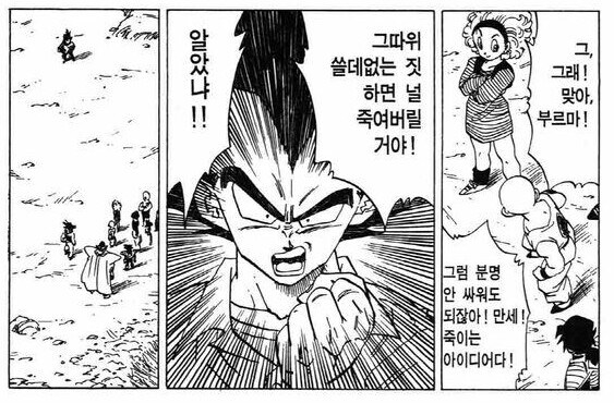 [드래곤볼] 부르마의 지극히 합리적인 제안과 손오공 & 베지터의 합동 트롤링_3.jpg