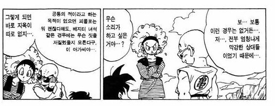 [드래곤볼] 부르마의 지극히 합리적인 제안과 손오공 & 베지터의 합동 트롤링_5.jpg
