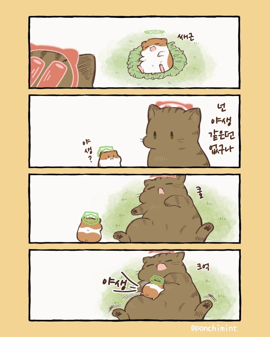 천국에서 고양이와 처음으로 만난 햄스터 히마쨩.manhwa_5.jpg