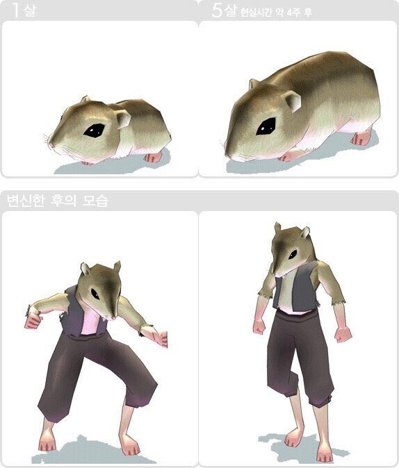 마비노기)인간형 펫.manwha_3.jpg