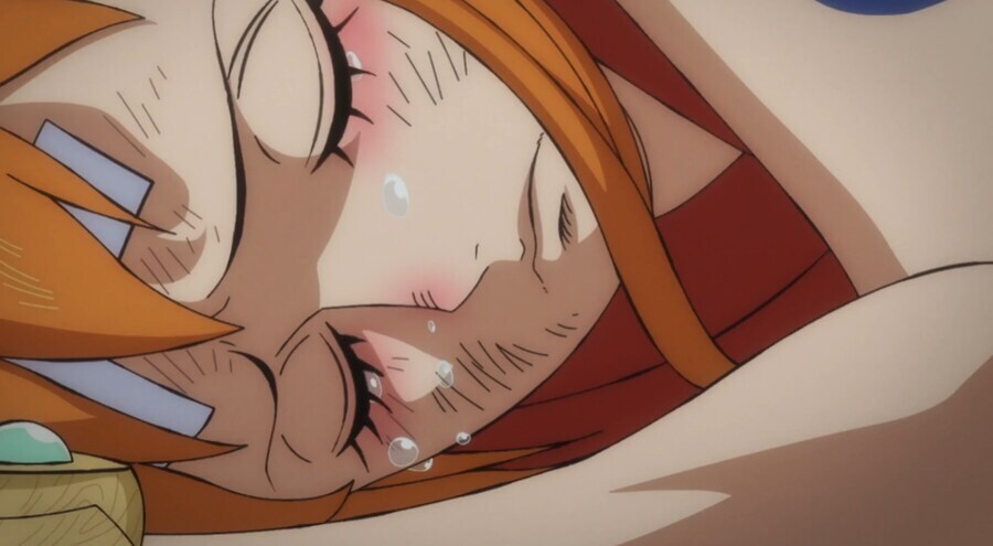 원피스) 밀짚모자 일당 중에 가장 많이 우는 사람_4.jpg