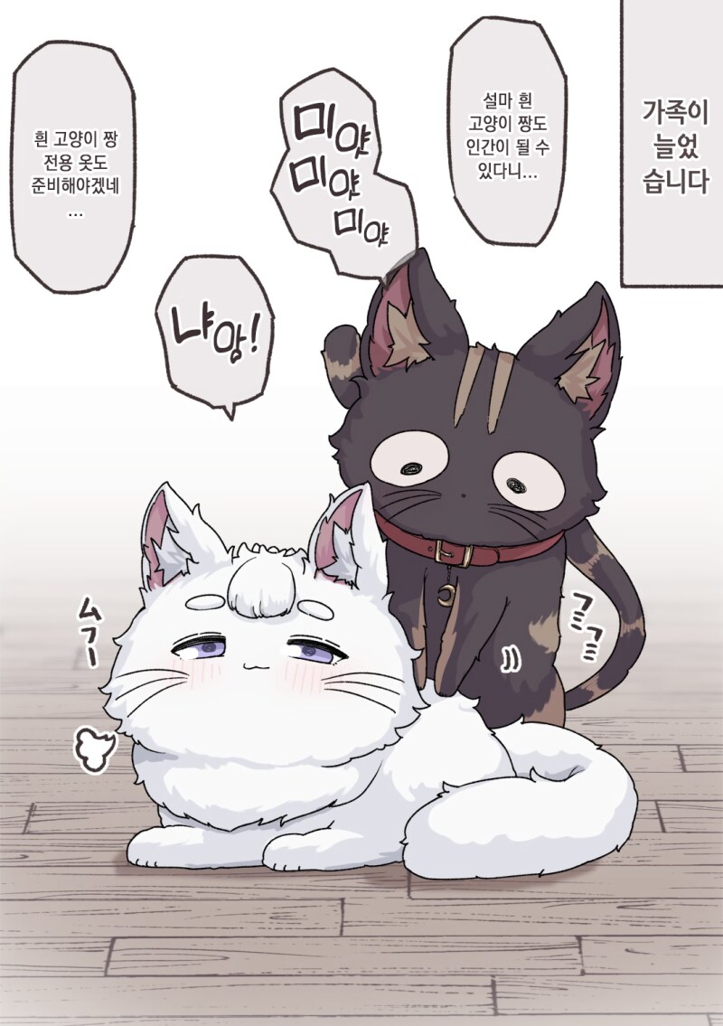 백흑 고양이가 갸루가 되었다.manga_5.png