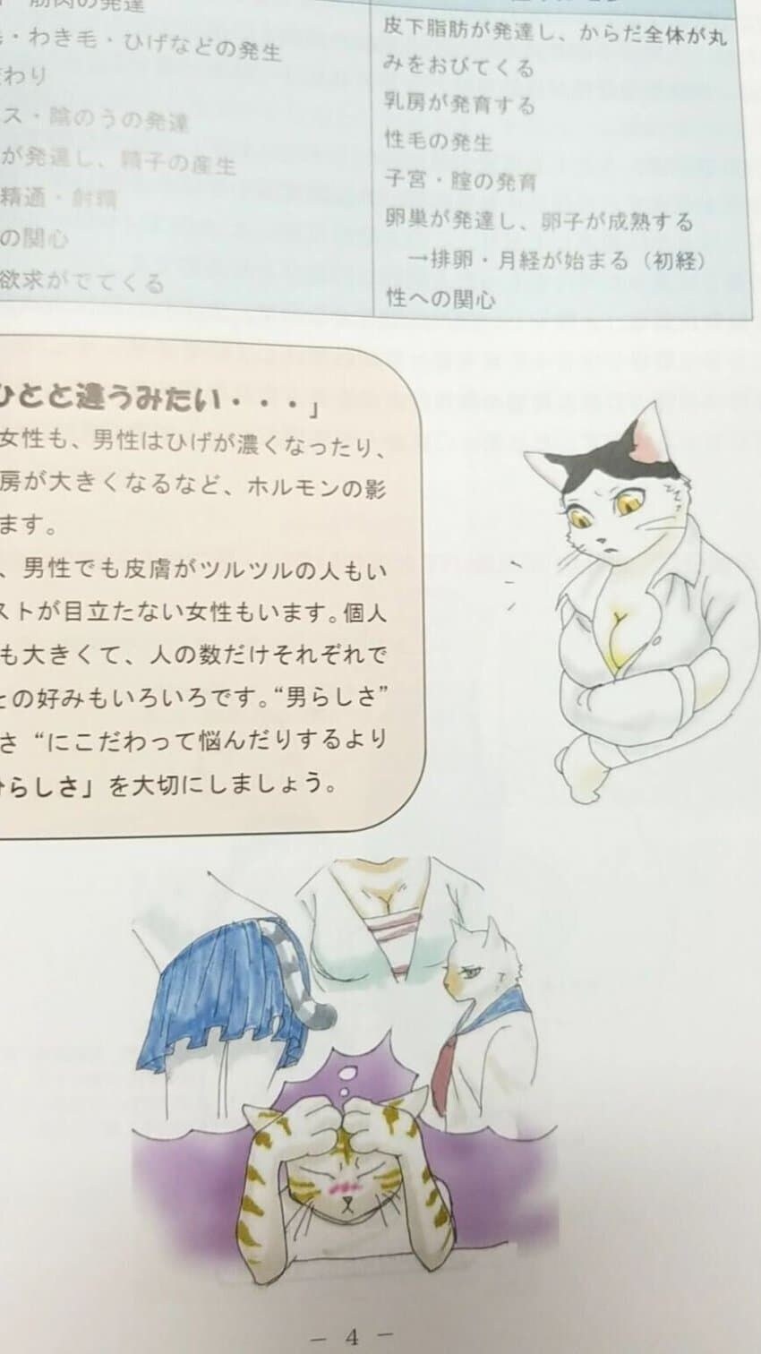 일본의 성교육 교과서 삽화 수준. manga_1.jpg