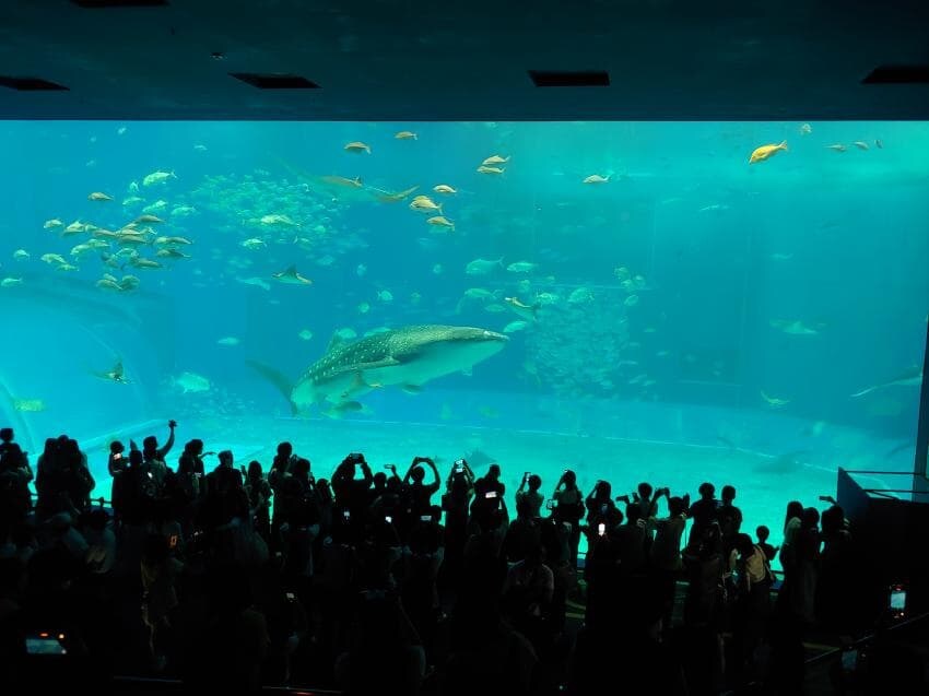 주술회전)의도치 않게 성지순례함_13.jpg