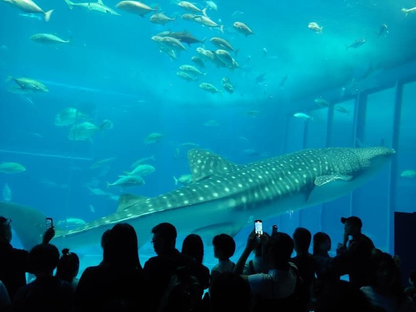 주술회전)의도치 않게 성지순례함_14.jpg