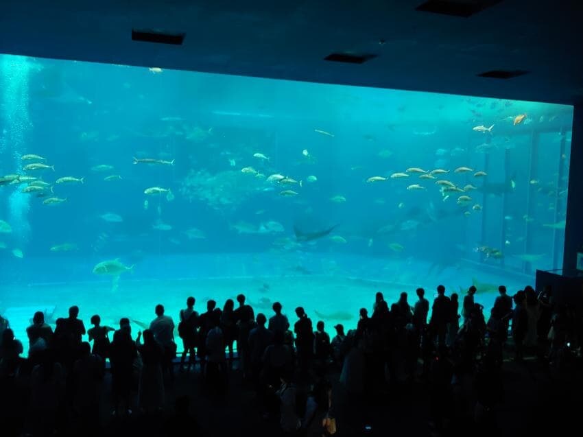 주술회전)의도치 않게 성지순례함_19.jpg