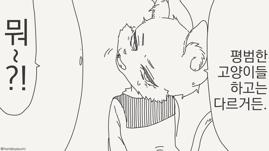고양이 팡팡하는 만화_2.jpg