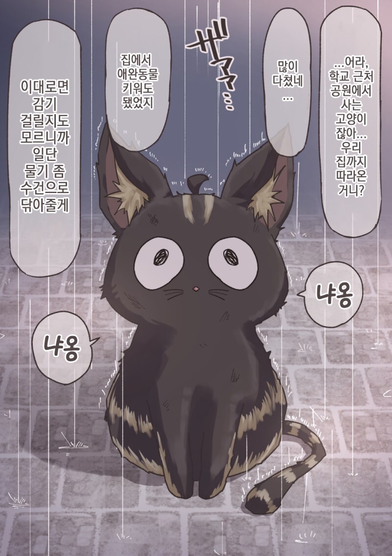 비맞는 고양이를 주워오는 만화_1.png