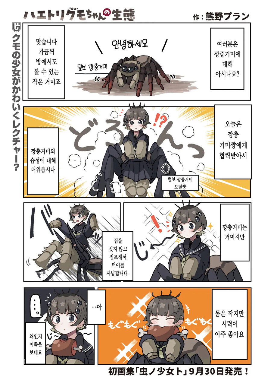 귀여운 깡충거미 만화_1.jpg