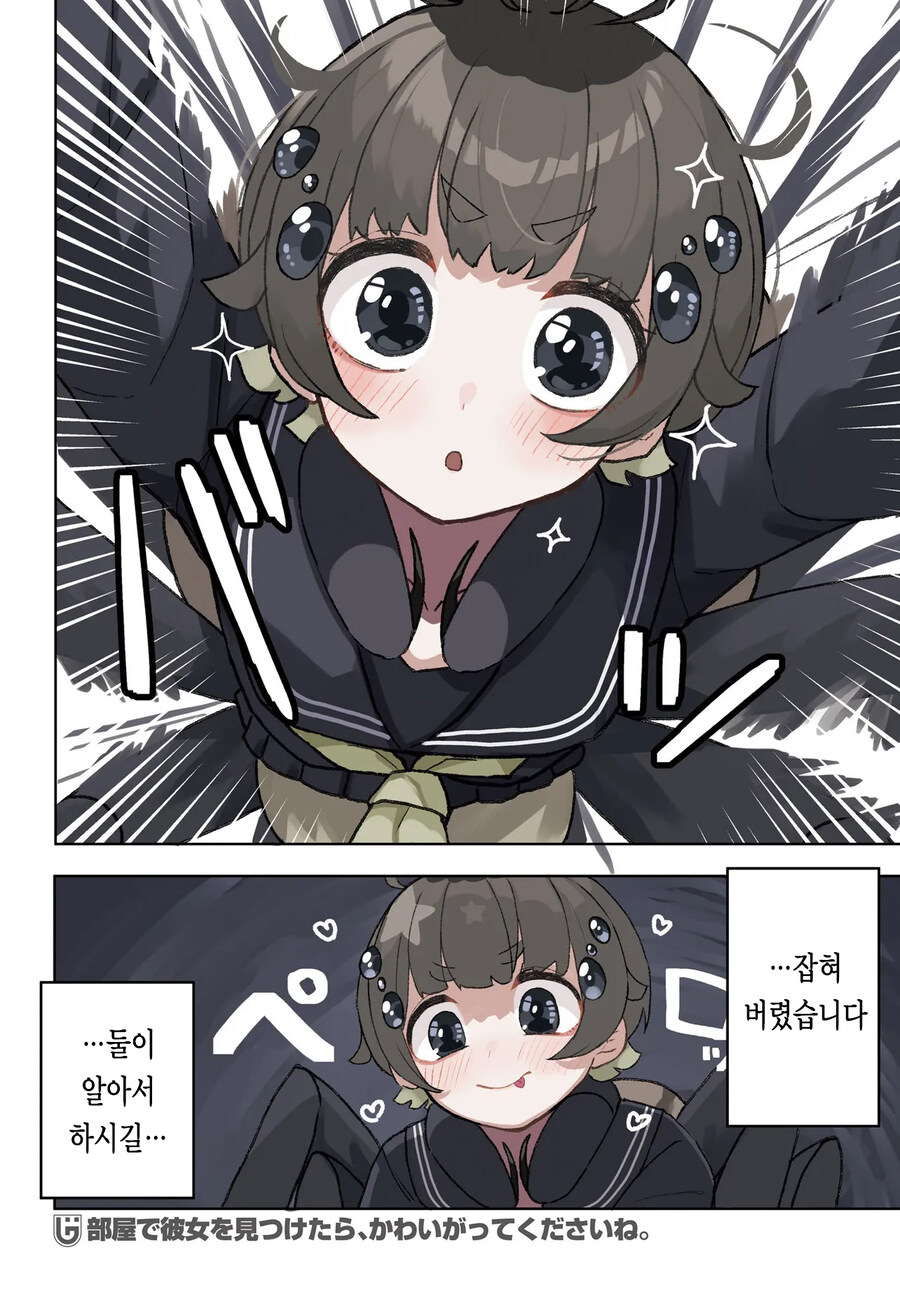 귀여운 깡충거미 만화_2.jpg