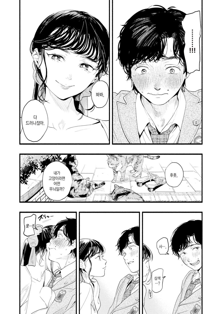 귀갓길 고양이 상의 미인 누나.manhwa_4.webp