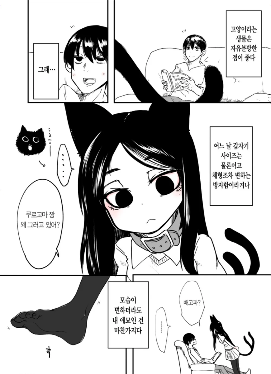 기르는 고양이가 미소녀가 되었다.manga_1.webp