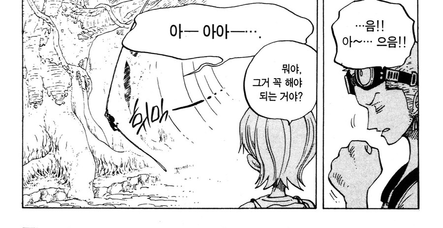 원피스) 덩쿨을 탈 때 남자라면 지켜야 하는 것_2.jpg