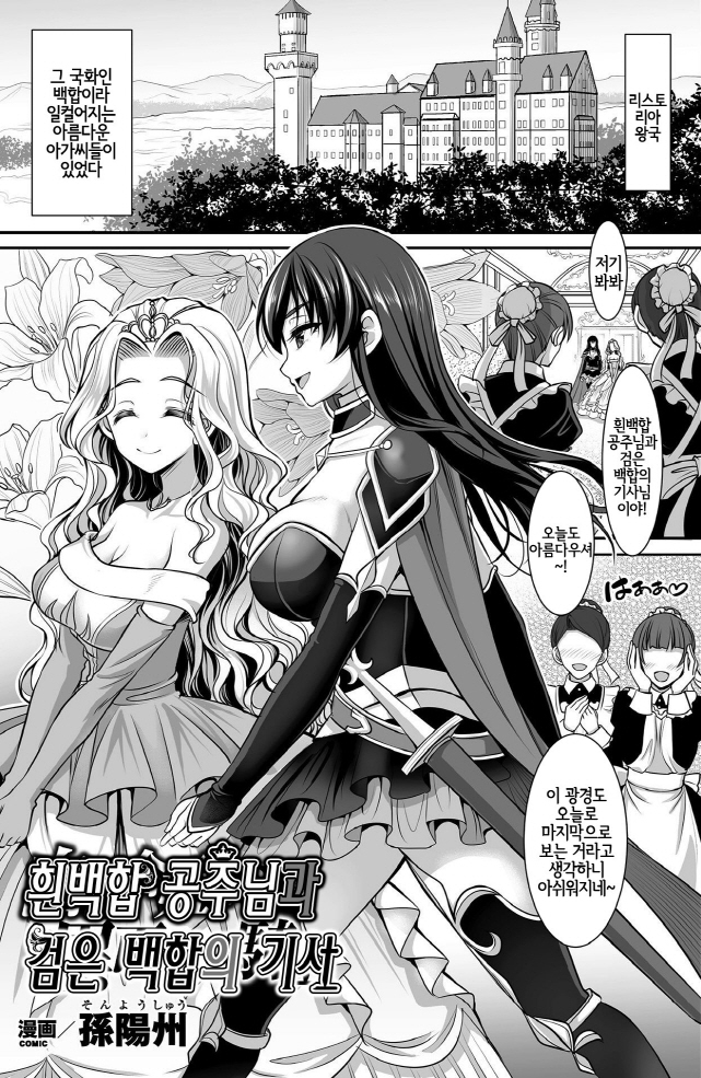 공주와 여기사_1.jpg