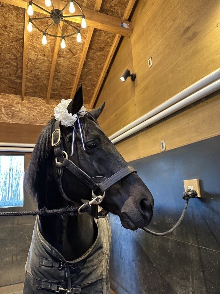 [말딸] 흔한 코스프레 모음_11.jpg