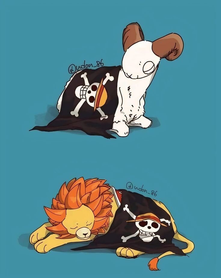 원피스) 어떤작품이든 명장면에 나타나는 공통된 현상_1.jpg