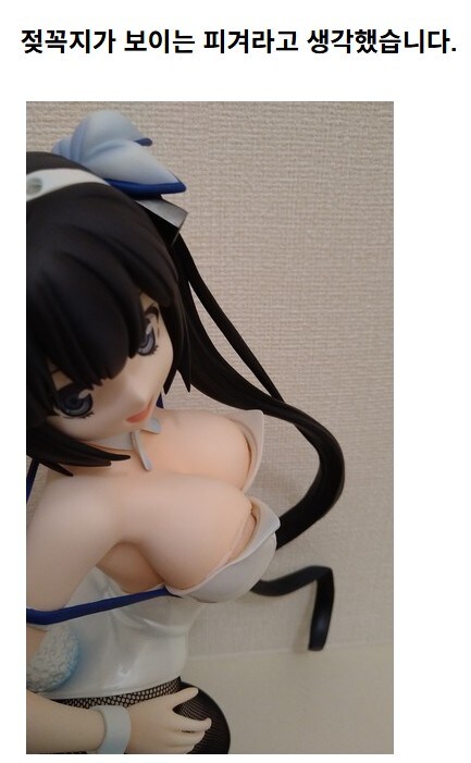 유두가 구현된 피규어라고 생각한 사람의 말로_1.jpg