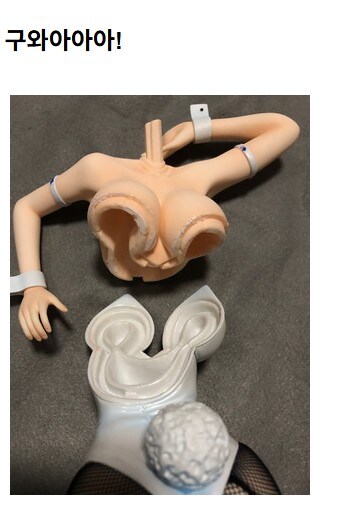 유두가 구현된 피규어라고 생각한 사람의 말로_2.jpg