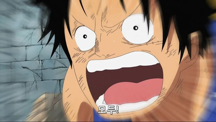 [원피스] 루피가 듣는 동료들 속 터지는 간접 화법을 구사하지 않는 경우_8.jpg