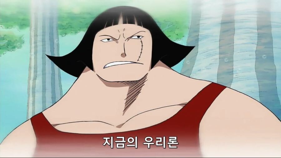 [원피스] 루피가 듣는 동료들 속 터지는 간접 화법을 구사하지 않는 경우_9.jpg