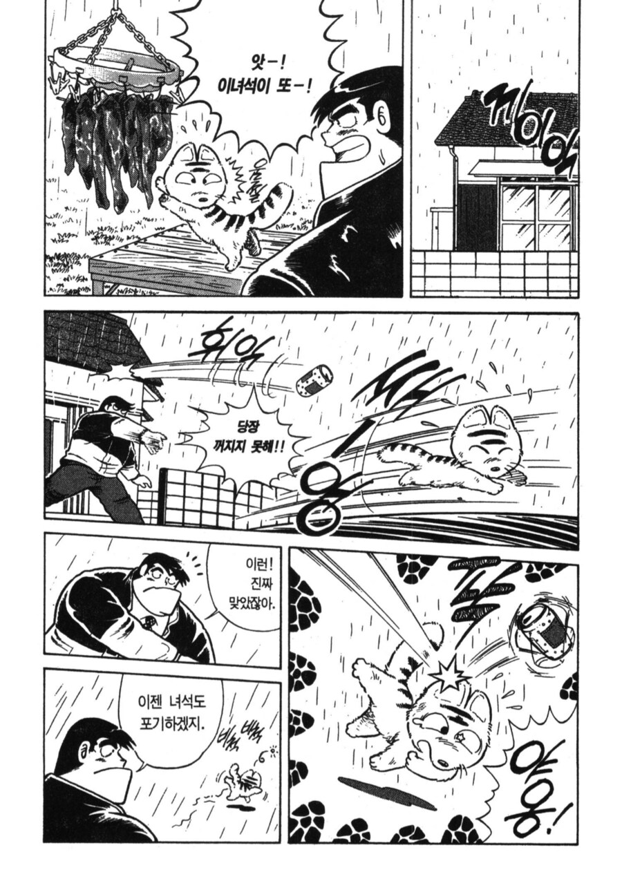 아빠는요리사) 육포를 노리는 냥이_2.png