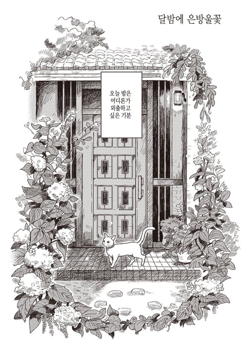 비밀장소에 차를 마시러 온 고양이 만화.manga_1.jpg